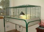 Large rabbit cage and stand.  Can be wheeled outdoors - click to enlarge